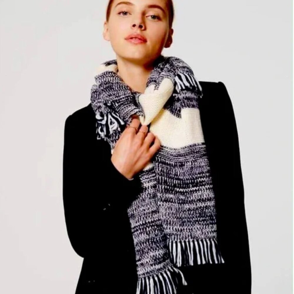 Ann Taylor Loft Knit Scarf